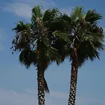 Infinity Tropea 4* Parghelia