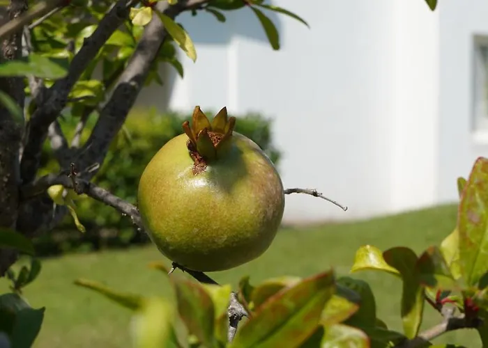 אתר נופש Infinity Tropea 4*