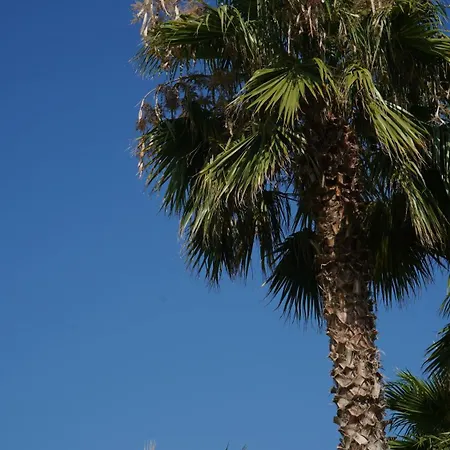 Infinity Tropea Rezort