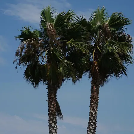 Infinity Tropea 4* Parghelia