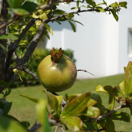 Rezort Infinity Tropea 4*