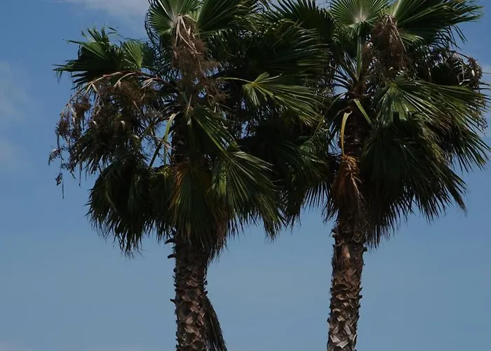 Infinity Tropea 4* Parghelia